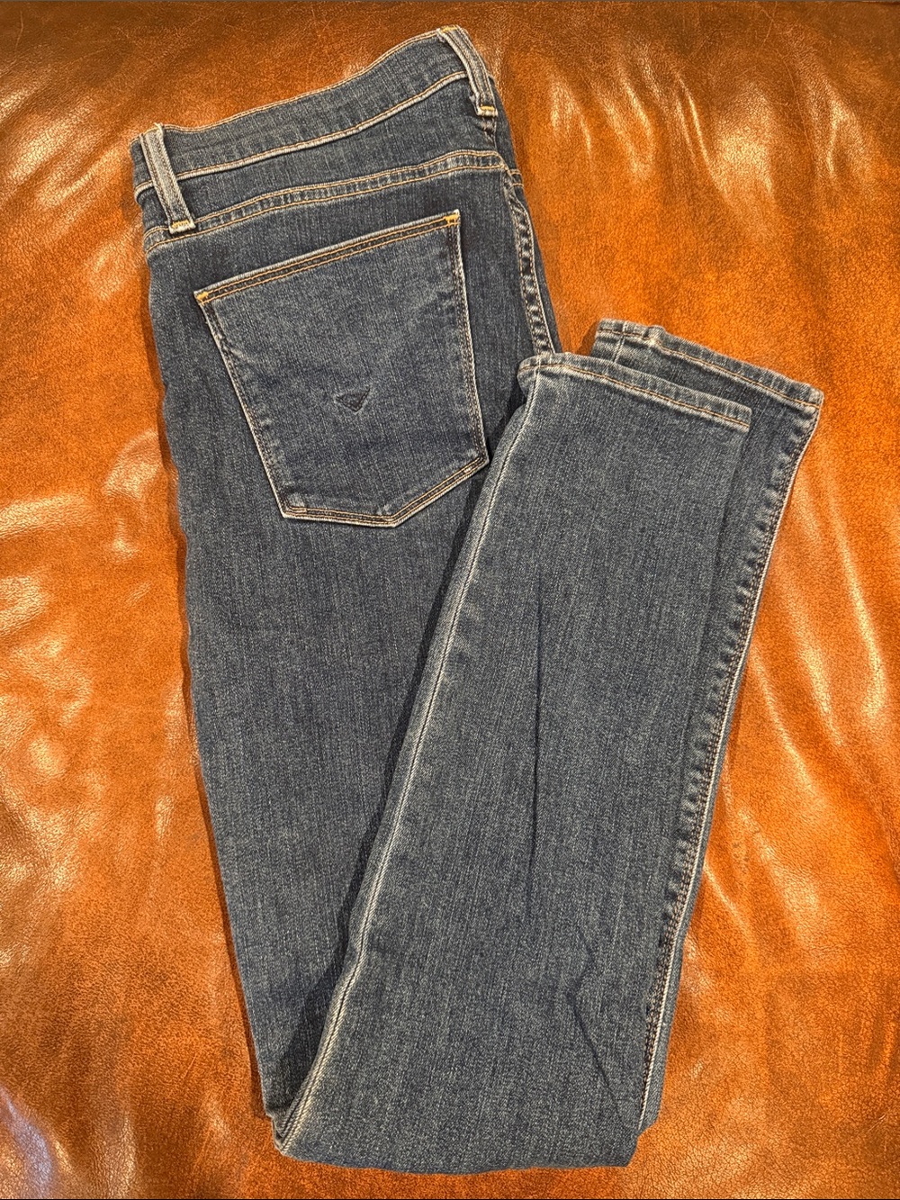 Hudson Dark Wash Skinny Jeans